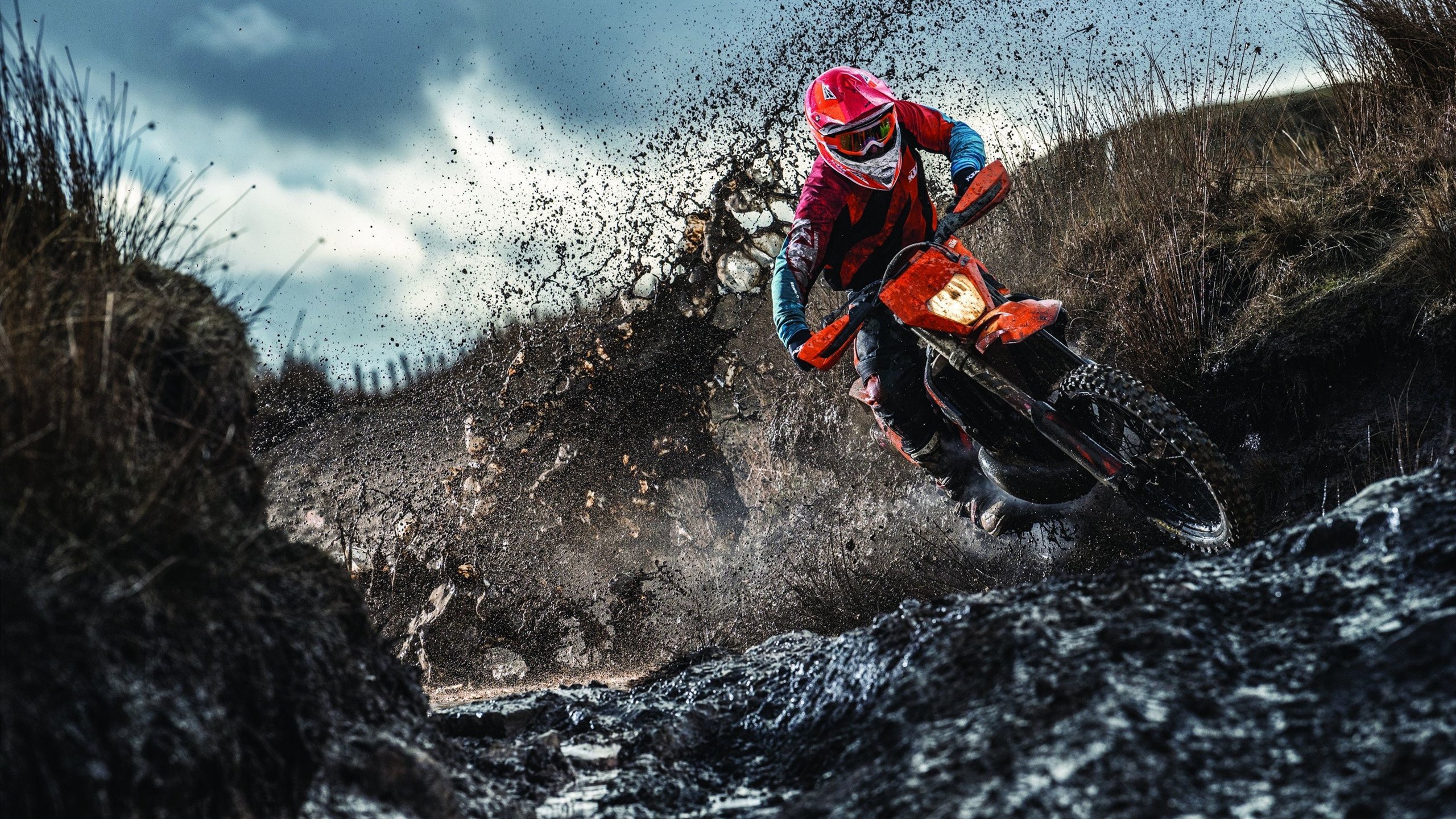 从低谷到巅峰，伤病康复背后的坚韧与科学